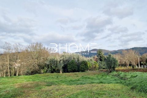 Helårsgrund i Amares, Braga, Amares - € 23.500 | Ref: 2001578 - foto 8