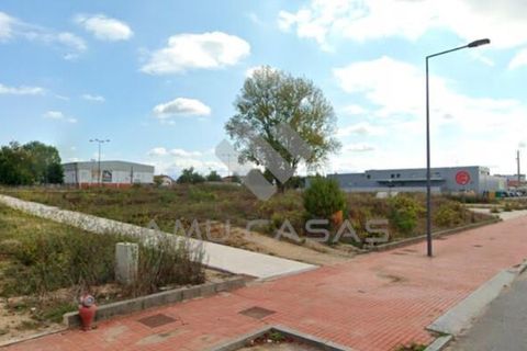 Helårsgrund i Estarreja, Aveiro, Estarreja - € 240.000 | Ref: PP03042024/L48 - foto 9