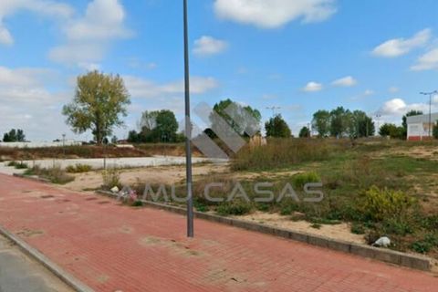 Helårsgrund i Estarreja, Aveiro, Estarreja - € 240.000 | Ref: PP03042024/L48 - foto 10