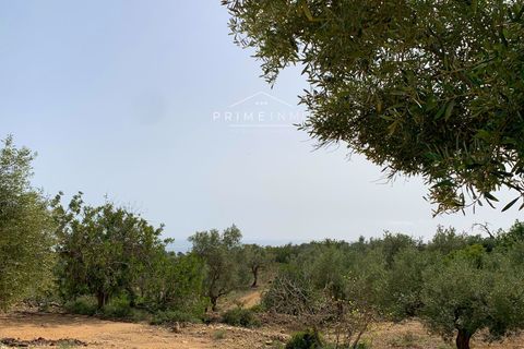 Finca i El Perello, Tarragona, El Perello - € 79.000 | Ref: 1098 - foto 6