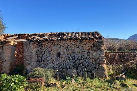 Terra a Manacor, Mallorca, Manacor - € 500.000 | Ref: 23-012 - foto 7