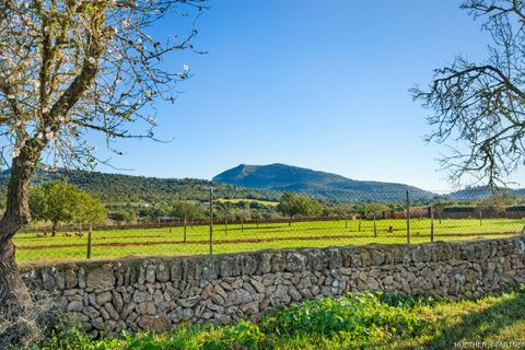 Terra a Manacor, Mallorca, Manacor - € 500.000 | Ref: 23-012 - foto 16