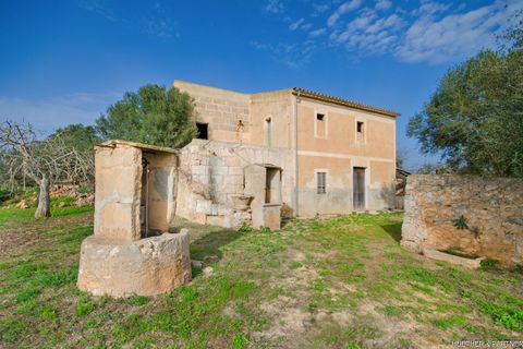 Terra em Son Negre, Mallorca - foto 1