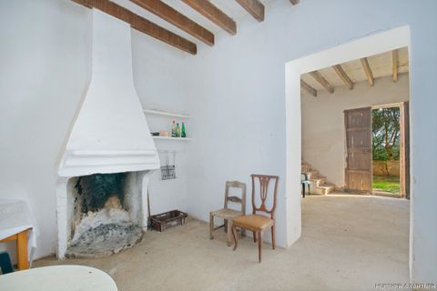 Tomt i Son Negre, Mallorca, Son Negre - € 770 000 | Ref: 23-091 - foto 7