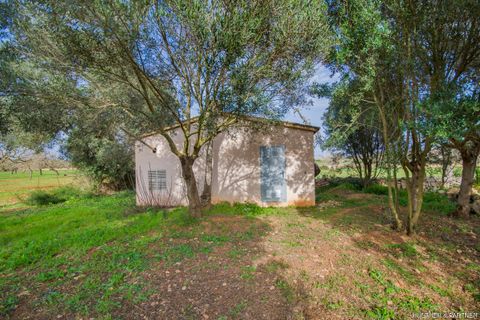 Tomt i Son Negre, Mallorca, Son Negre - € 770 000 | Ref: 23-091 - foto 9