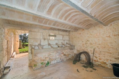 Tomt i Son Negre, Mallorca, Son Negre - € 770 000 | Ref: 23-091 - foto 10