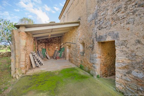 Tomt i Son Negre, Mallorca, Son Negre - € 770 000 | Ref: 23-091 - foto 11