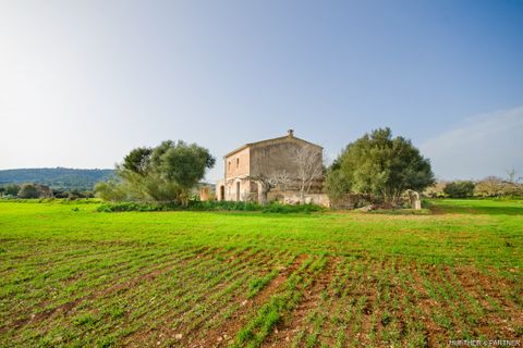 Tomt i Son Negre, Mallorca, Son Negre - € 770 000 | Ref: 23-091 - foto 12