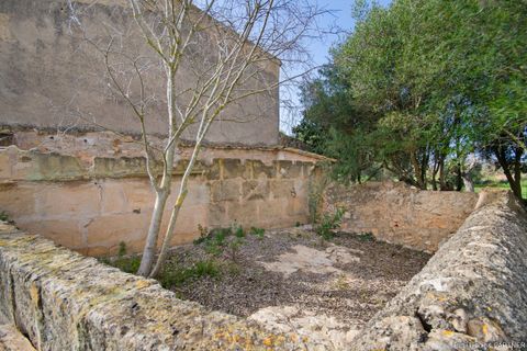Tomt i Son Negre, Mallorca, Son Negre - € 770 000 | Ref: 23-091 - foto 13