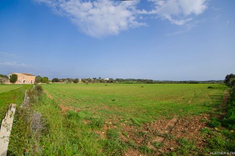 Tomt i Son Negre, Mallorca, Son Negre - € 770 000 | Ref: 23-091 - foto 14