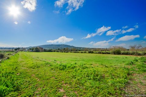 Tomt i Son Negre, Mallorca, Son Negre - € 770 000 | Ref: 23-091 - foto 15