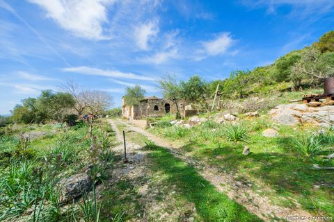 Terreno en Arta, Mallorca, Arta - € 1.990.000 | Ref: 23-101 - photo 2