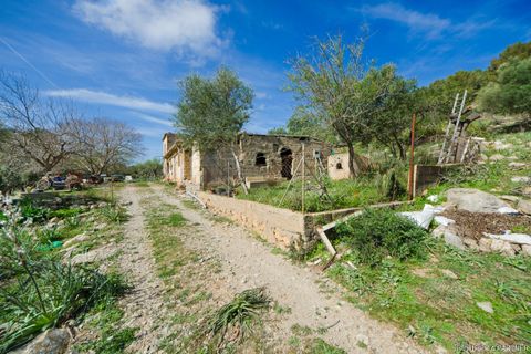 Terreno en Arta, Mallorca, Arta - € 1.990.000 | Ref: 23-101 - photo 9