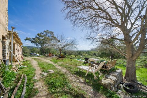 Terreno en Arta, Mallorca, Arta - € 1.990.000 | Ref: 23-101 - photo 11