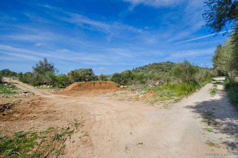 Terreno en Arta, Mallorca, Arta - € 1.990.000 | Ref: 23-101 - photo 14