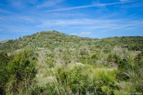 Terreno en Arta, Mallorca, Arta - € 1.990.000 | Ref: 23-101 - photo 15