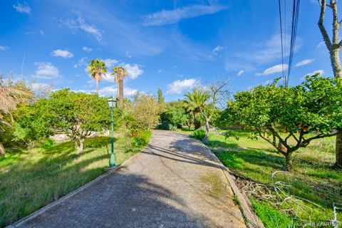 Byhus i Manacor, Mallorca, Manacor - € 1.350.000 | Ref: 24-016 - foto 15