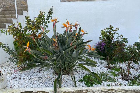 Villa a Almunecar, Granada, Almunecar - € 650.000 | Ref: 2101 - foto 45