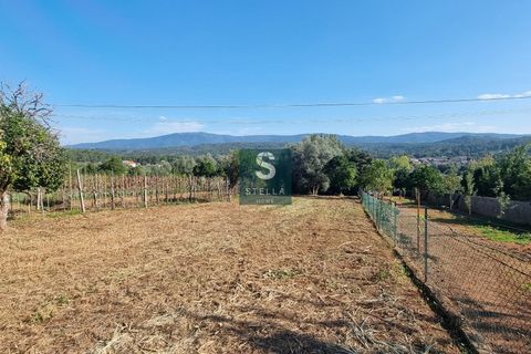 Villa a Miranda do Corvo, Coimbra, Miranda do Corvo - € 62.000 | Ref: SH0009-2024 - foto 21