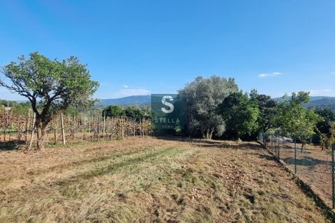 Villa a Miranda do Corvo, Coimbra, Miranda do Corvo - € 62.000 | Ref: SH0009-2024 - foto 22