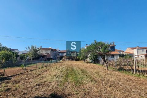 Villa a Miranda do Corvo, Coimbra, Miranda do Corvo - € 62.000 | Ref: SH0009-2024 - foto 23