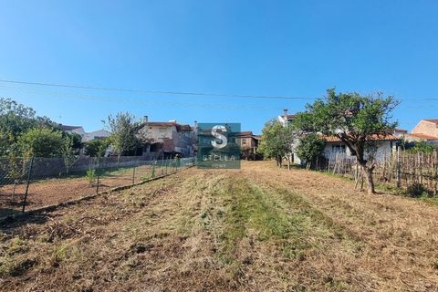 Villa a Miranda do Corvo, Coimbra, Miranda do Corvo - € 62.000 | Ref: SH0009-2024 - foto 24
