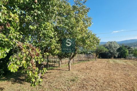 Villa a Miranda do Corvo, Coimbra, Miranda do Corvo - € 62.000 | Ref: SH0009-2024 - foto 25