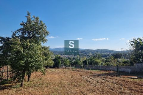 Villa a Miranda do Corvo, Coimbra, Miranda do Corvo - € 62.000 | Ref: SH0009-2024 - foto 26