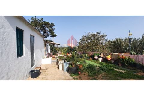 Farm i Luz, Faro, Luz - € 445.000 | Ref: 042/2022 - foto 3