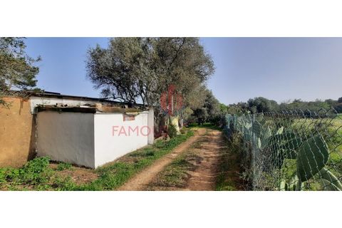 Farm i Luz, Faro, Luz - € 445.000 | Ref: 042/2022 - foto 2