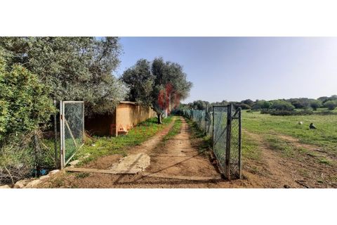 Farm i Luz, Faro, Luz - € 445.000 | Ref: 042/2022 - foto 10