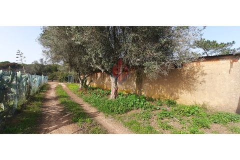 Farm i Luz, Faro, Luz - € 445.000 | Ref: 042/2022 - foto 11