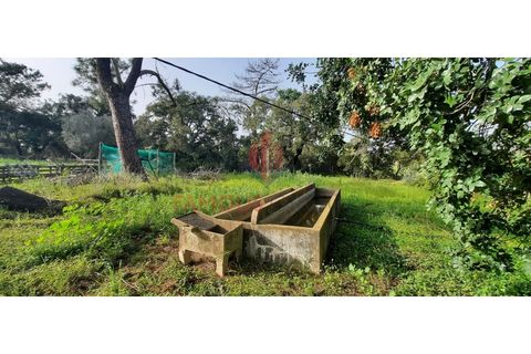 Farm i Luz, Faro, Luz - € 445.000 | Ref: 042/2022 - foto 14