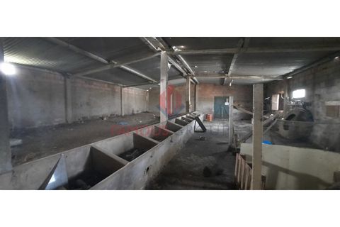 Farm i Luz, Faro, Luz - € 445.000 | Ref: 042/2022 - foto 12