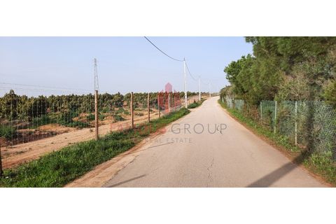 Farm i Luz, Faro, Luz - € 445.000 | Ref: 042/2022 - foto 18