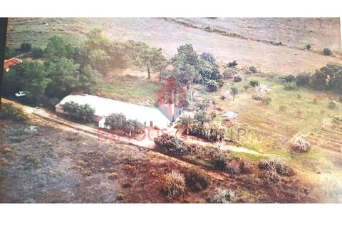 Farm i Luz, Faro, Luz - € 445.000 | Ref: 042/2022 - foto 15