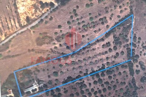 Farm i Luz, Faro, Luz - € 445.000 | Ref: 042/2022 - foto 16