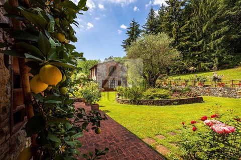 Villa a Lucca, Lucca, Lucca - € 4.500.000 | Ref: 5297 - foto 4