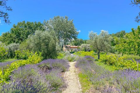 Villa i Chateauneuf-Grasse, Alpes-Maritimes, Chateauneuf-Grasse - € 1.690.000 | Ref: 84472491 - foto 12