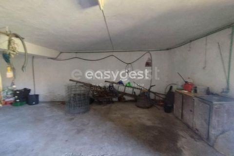 Villa i Biscoitos, Terceira, Biscoitos - € 280.000 | Ref: AZ95070MS - foto 27