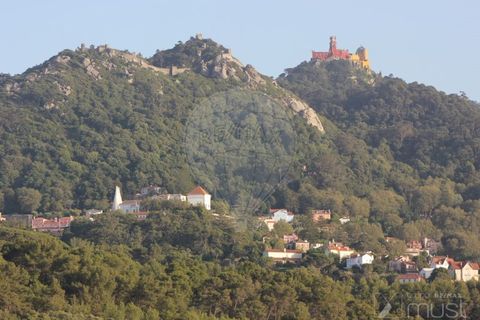 Villa i Sintra, Lisbon, Sintra - € 895.000 | Ref: 124151172-22 - foto 24