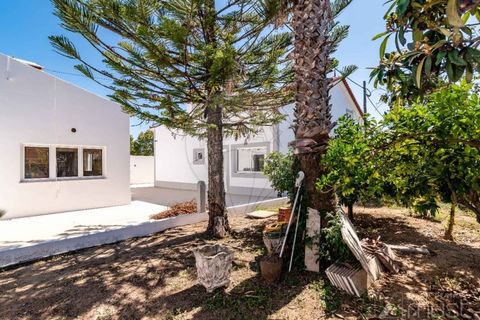 Villa a Alcacovas, Evora, Alcacovas - € 375.000 | Ref: 124151032-252 - foto 15