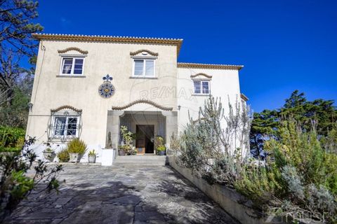 Farm i Sintra, Lisbon, Sintra - € 2.950.000 | Ref: 124151148-49 - foto 2