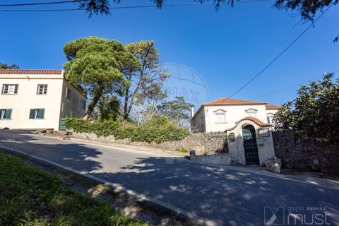 Farm i Sintra, Lisbon, Sintra - € 2.950.000 | Ref: 124151148-49 - foto 3