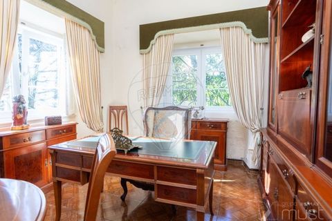 Farm i Sintra, Lisbon, Sintra - € 2.950.000 | Ref: 124151148-49 - foto 17