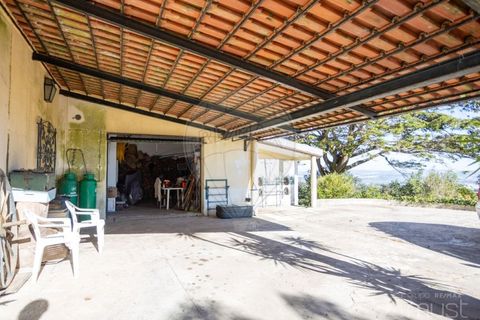 Farm i Sintra, Lisbon, Sintra - € 2.950.000 | Ref: 124151148-49 - foto 44