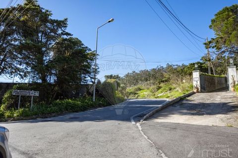 Farm i Sintra, Lisbon, Sintra - € 2.950.000 | Ref: 124151148-49 - foto 45