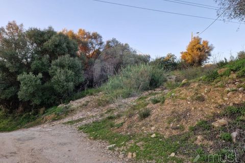 Helårsgrund i Sintra, Lisbon, Sintra - € 60.000 | Ref: 124151163-6 - foto 2