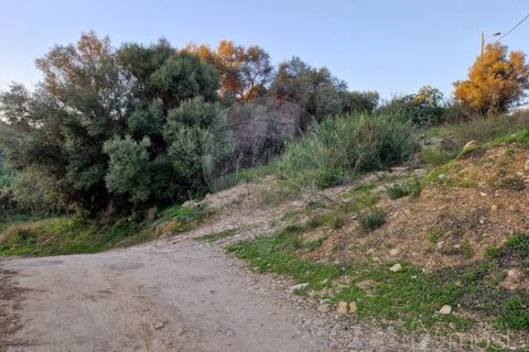 Helårsgrund i Sintra, Lisbon, Sintra - € 60.000 | Ref: 124151163-6 - foto 3