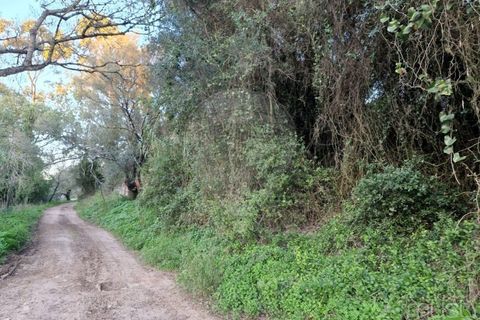Helårsgrund i Sintra, Lisbon, Sintra - € 60.000 | Ref: 124151163-6 - foto 4